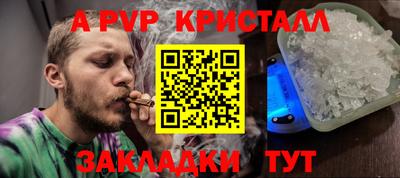 мет Кингисепп