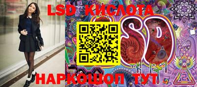 PSILOCYBIN Кинель