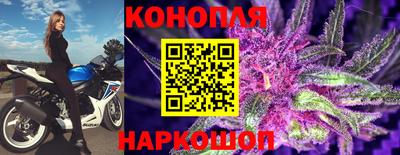 мет Кингисепп