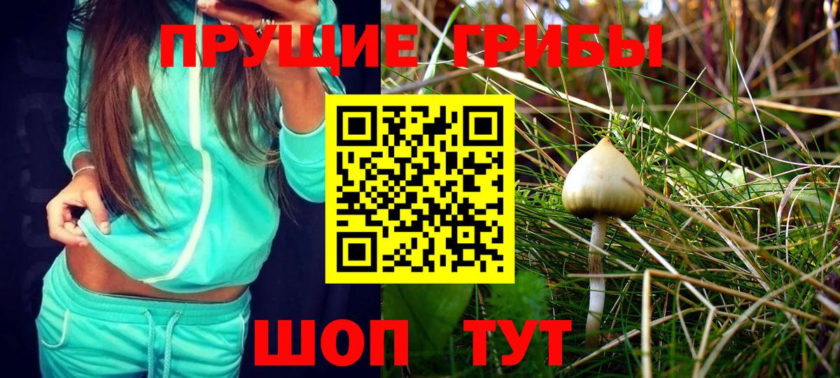 Галлюциногенные грибы Psilocybe Коркино