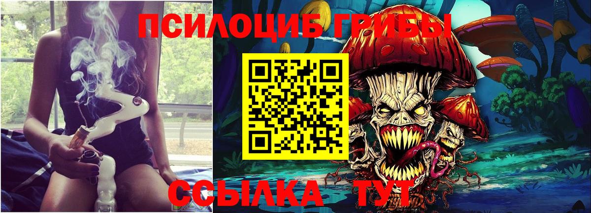 Коркино  Псилоцибиновые грибы мухоморы  Вход с VPN 