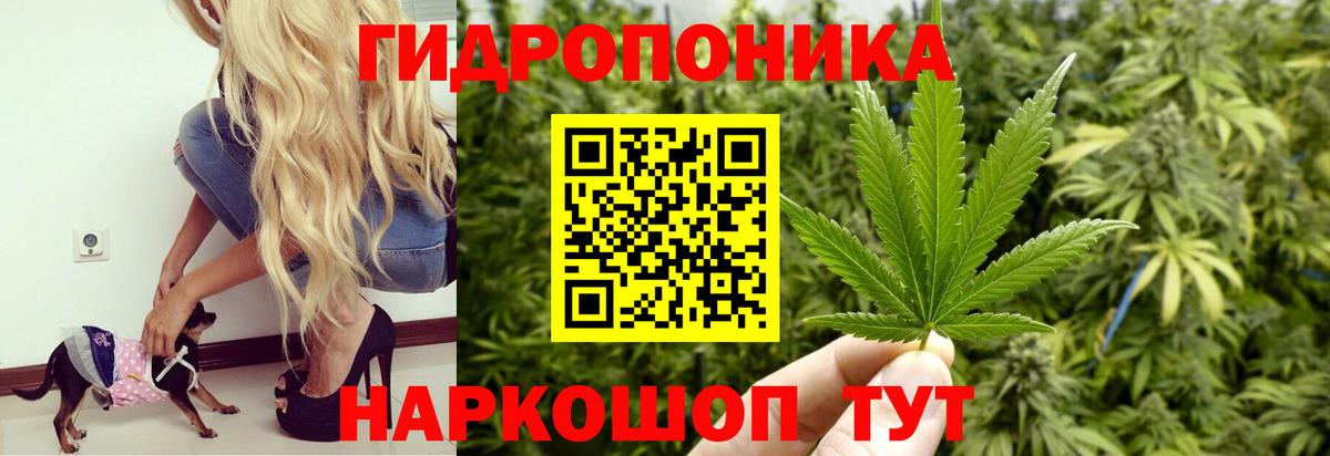 ЭКСТАЗИ Коркино